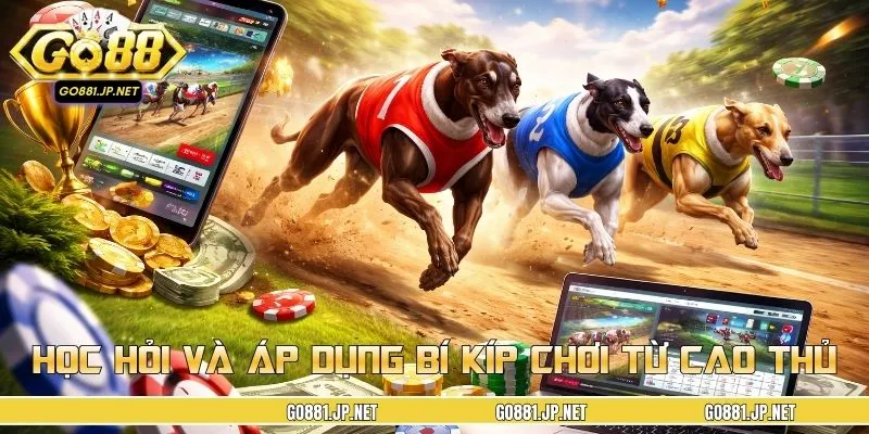 Học hỏi và áp dụng bí kíp chơi từ chia sẻ của cao thủ